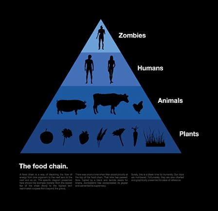 Food chain